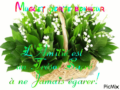 1 MAI