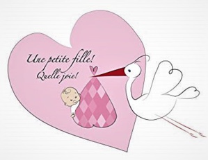 Carnet rose