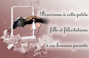 Carnet rose Carnet rose