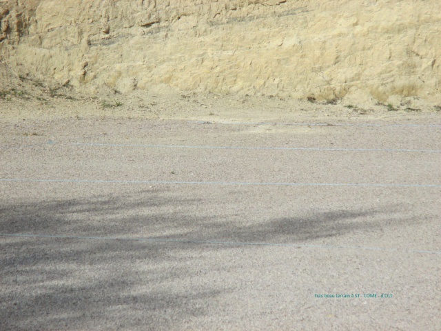 2014-10-19_Finale du CDC Féminin_02 2014-10-19_Finale du CDC Féminin_02