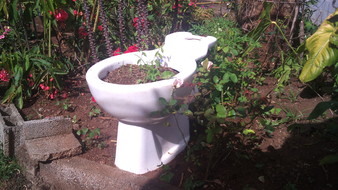 PHOTO INSOLITE ! PHOTO INSOLITE !