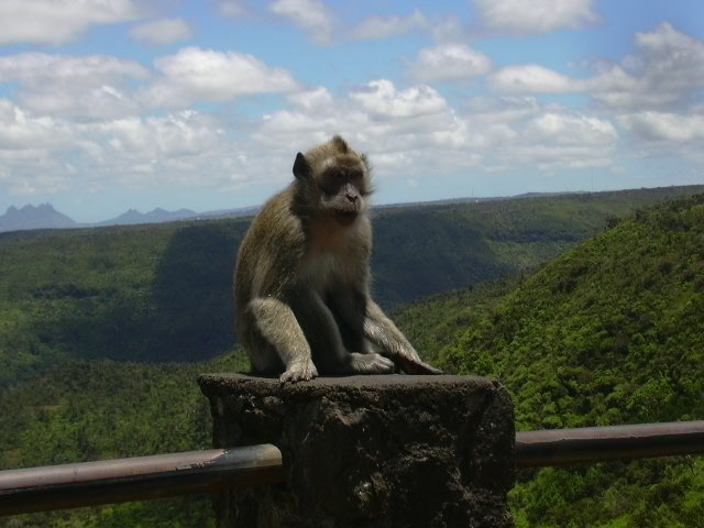 Insolite ! Insolite !