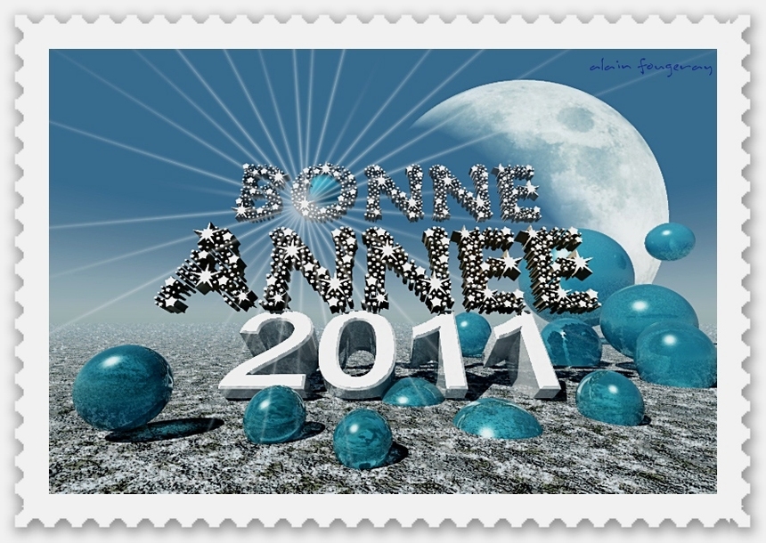 BONNE ANNEE 2011 !!!