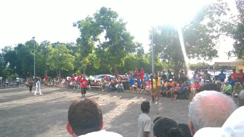 WP_20150419_071_800x449 WP_20150419_071_800x449