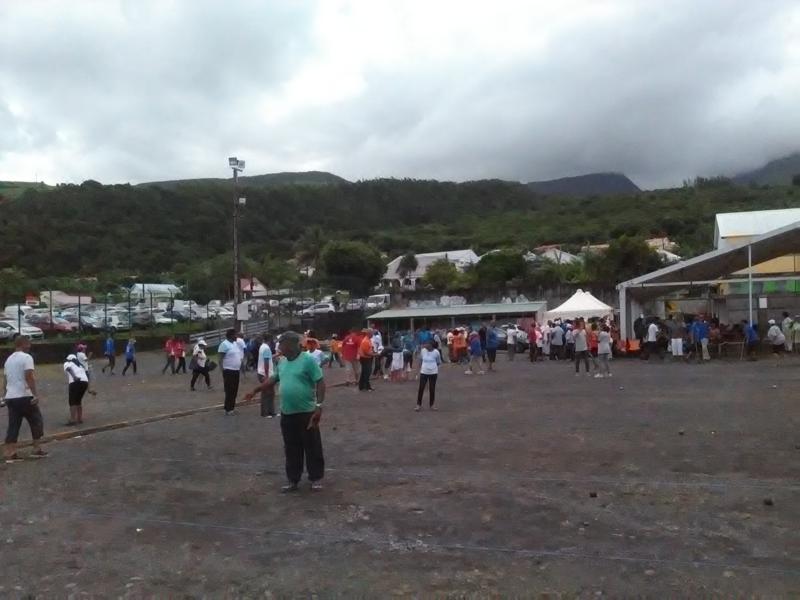 IMG_20160312_143103_800x600 IMG_20160312_143103_800x600