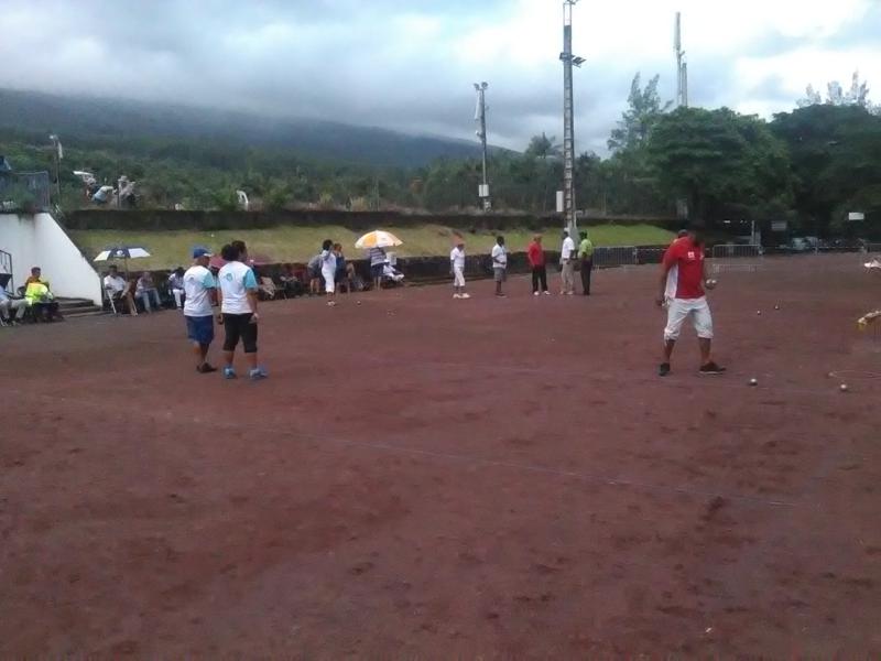 IMG_20160313_140356_800x600 IMG_20160313_140356_800x600