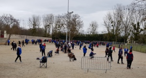 QUALIFICATIF DOUBLETTE MASCULIN ET T à T FEMININ LE 6/04/2019
