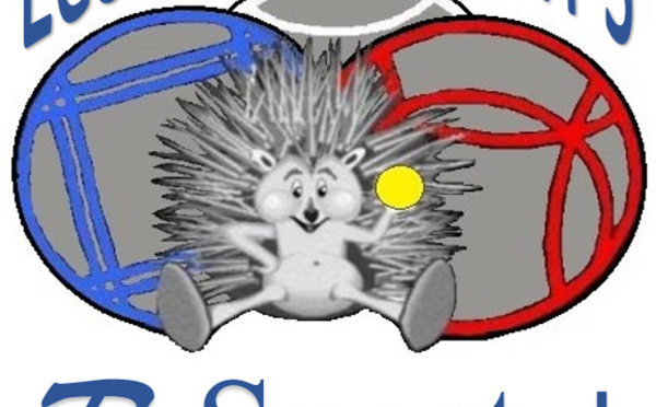 Programme 2019 de la Team