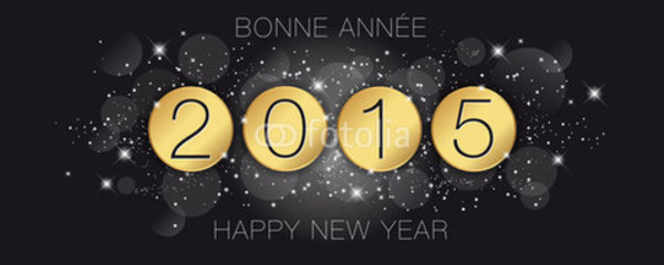 Bonne Année 2015