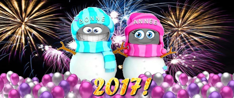 Bonne Année 2017