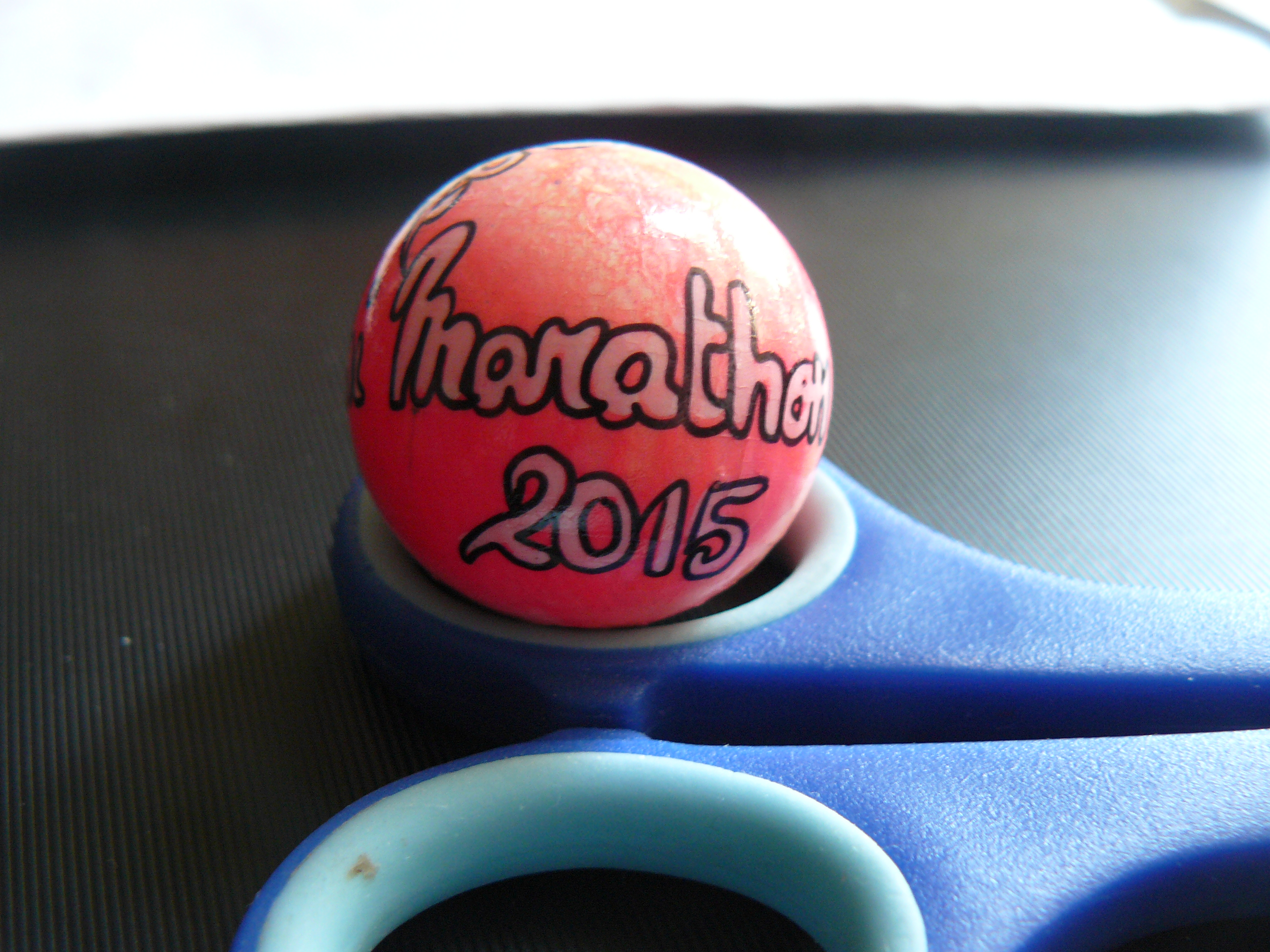 but fait par mr thierry snel but fait par mr thierry snel