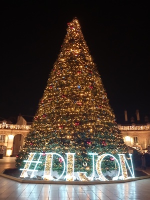 Mon beau sapin ... Mon beau sapin ...