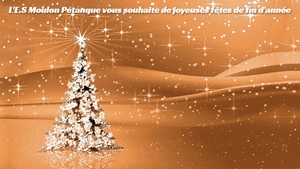 JOYEUSES FÊTES DE FIN D'ANNÉE ! JOYEUSES FÊTES DE FIN D'ANNÉE !