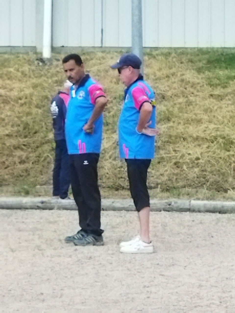 BIZARRE, ON DIRAIT LA DANSE DES CANARDS !! BIZARRE, ON DIRAIT LA DANSE DES CANARDS !!