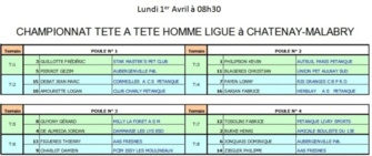 Championnats de Ligue 2013