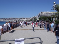 DSCF0777 (640x480).jpg DSCF0777 (640x480).jpg