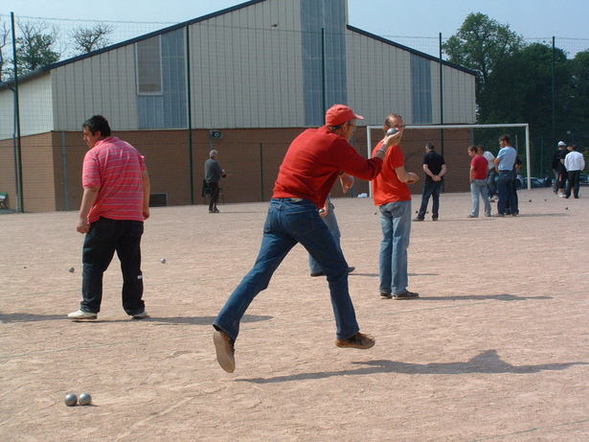 Le pas de danse d'une galinette cendrée Le pas de danse d'une galinette cendrée