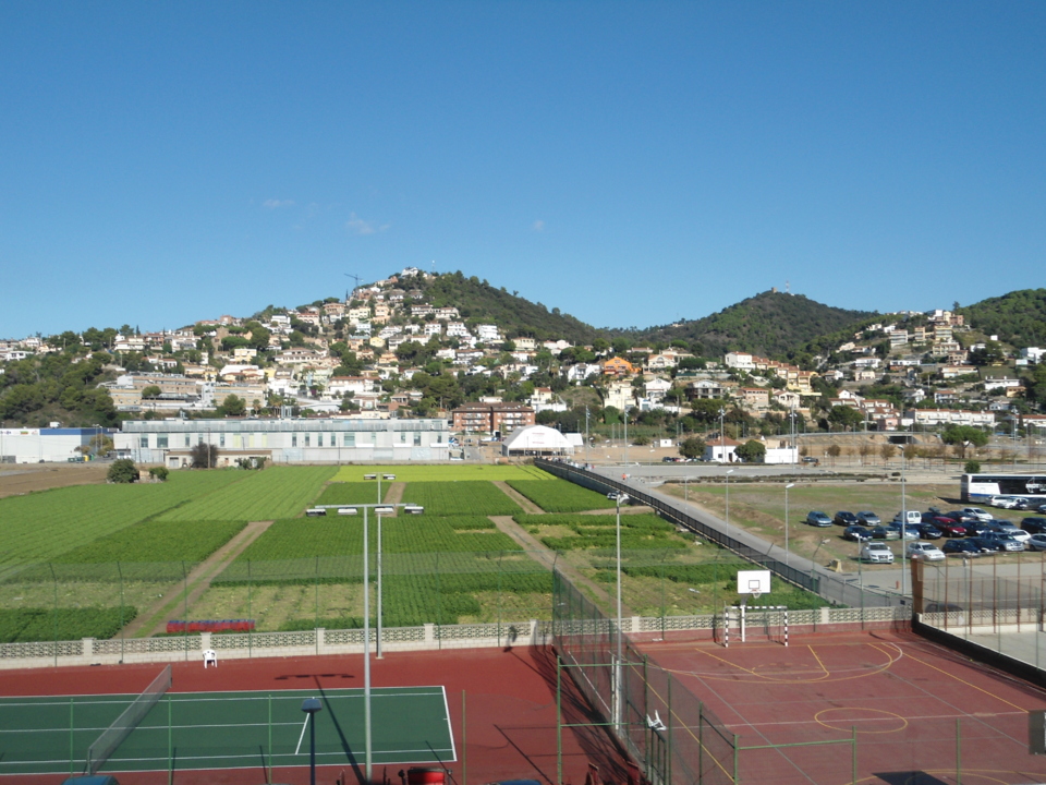 Octeville Hague Sports et Avranches à Santa Suzannah Octeville Hague Sports et Avranches à Santa Suzannah