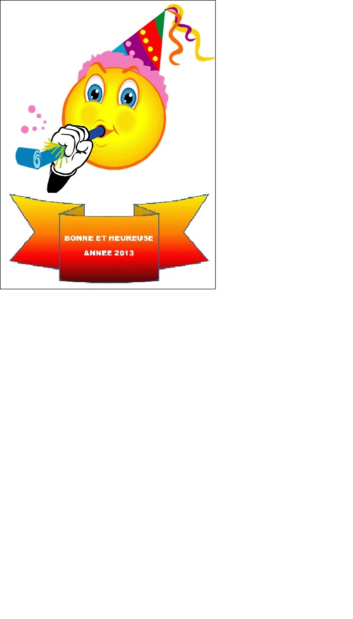 BONNE ANNEE 2013 BONNE ANNEE 2013