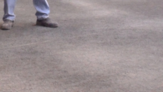 WP_20161030_16_41_34_Pro WP_20161030_16_41_34_Pro