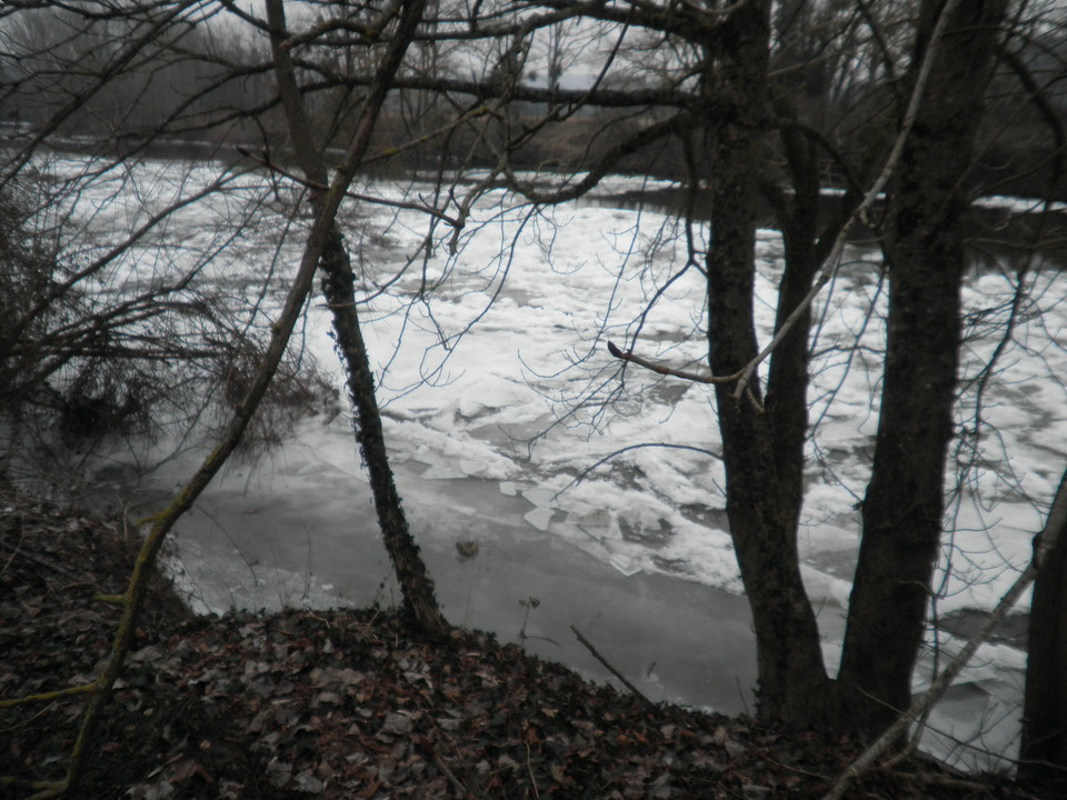 Le Cher à ORVAL-plage