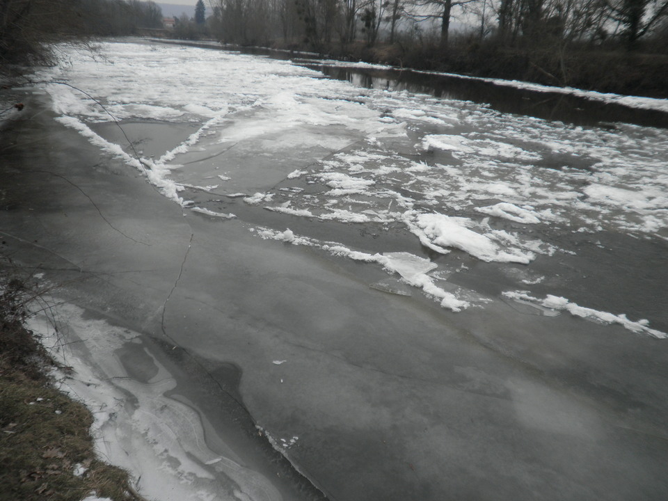 Le Cher à ORVAL-plage Le Cher à ORVAL-plage