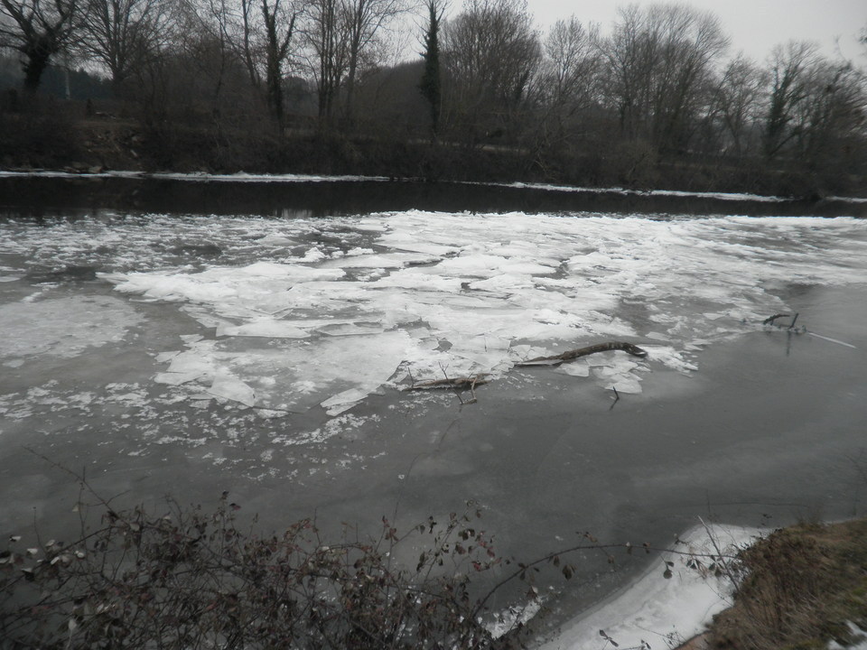 Le Cher à ORVAL-plage Le Cher à ORVAL-plage
