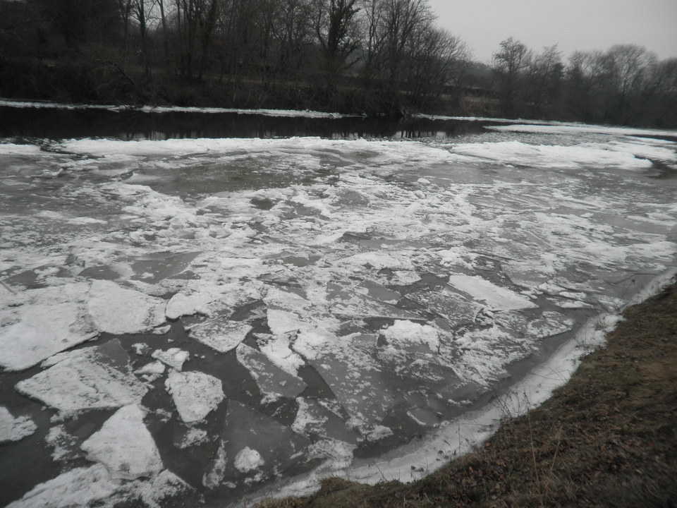 Le Cher à ORVAL-plage