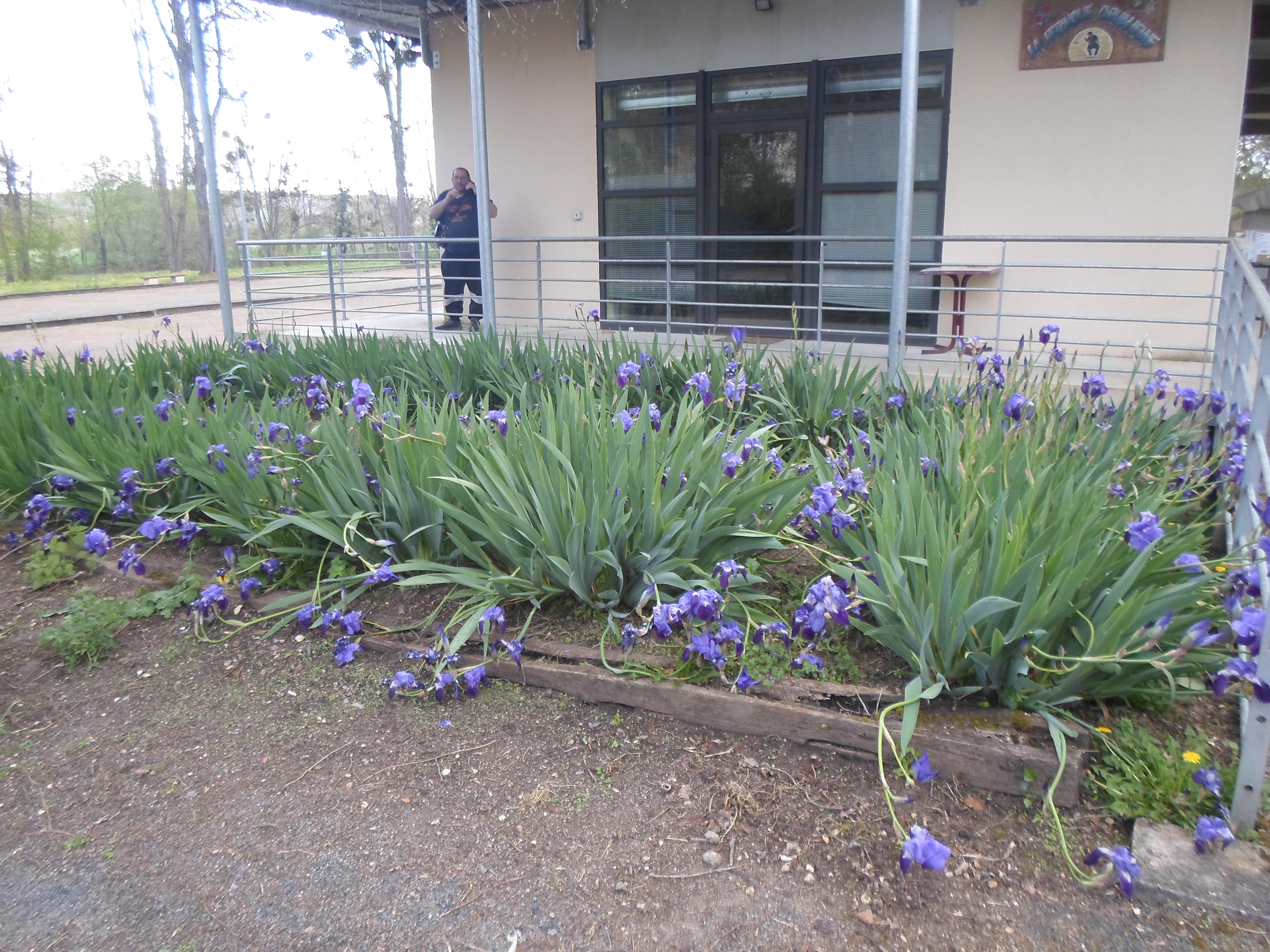 ...l'entrée du site ...l'entrée du site