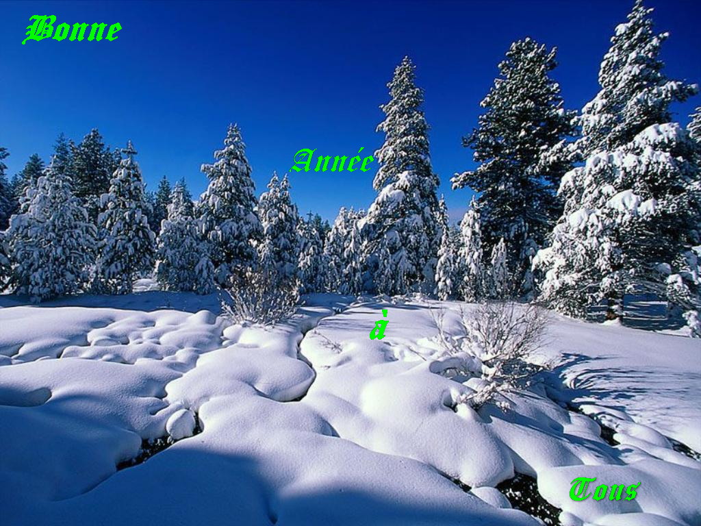 Vœux et activités 2016 Vœux et activités 2016