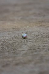 boules23.jpg boules23.jpg