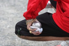 boules25.jpg boules25.jpg