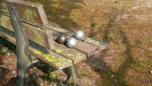 " EN L'HONNEUR DE LA PETANQUE "