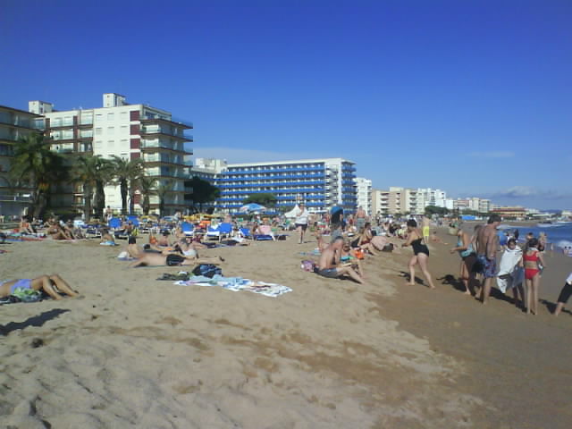 DSC00217.JPG DSC00217.JPG