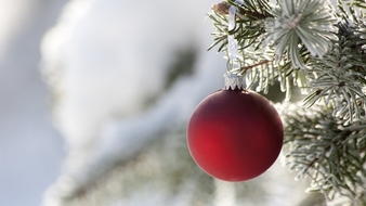 Bonnes Fêtes de Fin d'Année Bonnes Fêtes de Fin d'Année