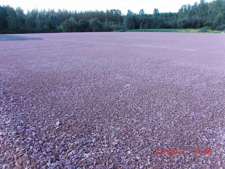 Terrain, on touche au but Terrain, on touche au but