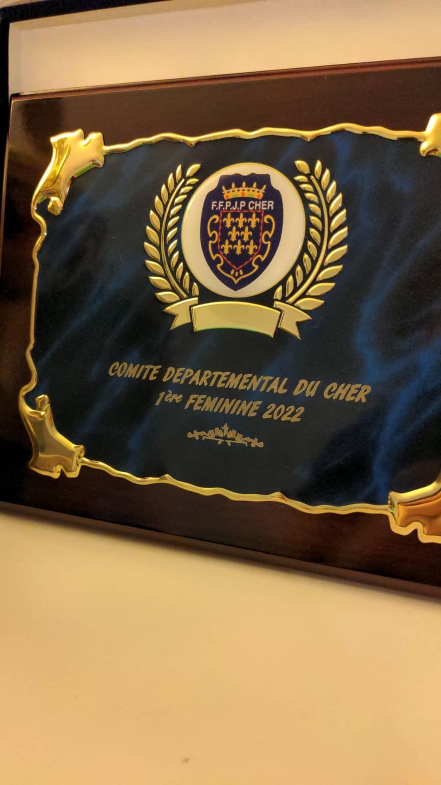 Les Marmagnais récompensés à l'AG du Comité Les Marmagnais récompensés à l'AG du Comité