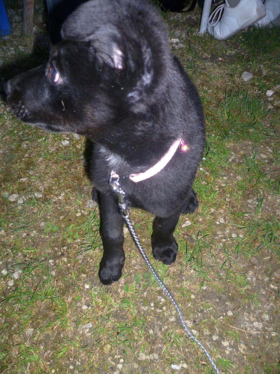 Concours interne 2014 Concours interne 2014