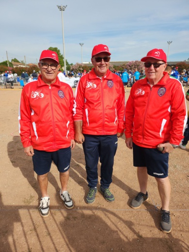 Des nouvelles de Castelnaudary Des nouvelles de Castelnaudary