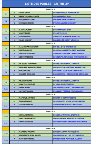 Championnat Régional Triplette Jeu Provençal les 3 et 4 juin à Bois le Roi (77)