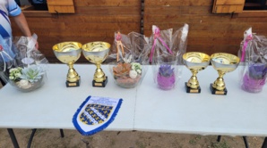 CHAMPIONNAT DÉPARTEMENTAL DES YVELINES PROMOTION DAMES à CHATOU CHAMPIONNAT DÉPARTEMENTAL DES YVELINES PROMOTION DAMES à CHATOU