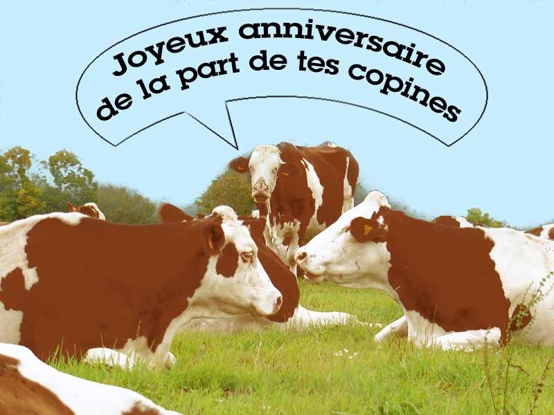 З днём нараджэння З днём нараджэння