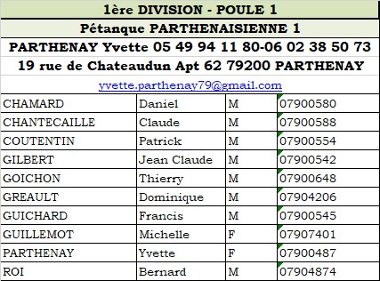 Parthenay Equipe 1 Vétéran