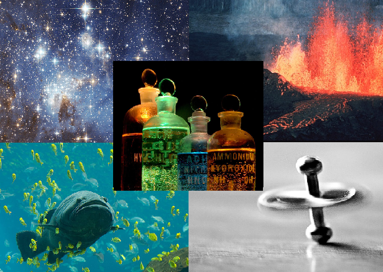 Quiz Science & Nature - Réponses