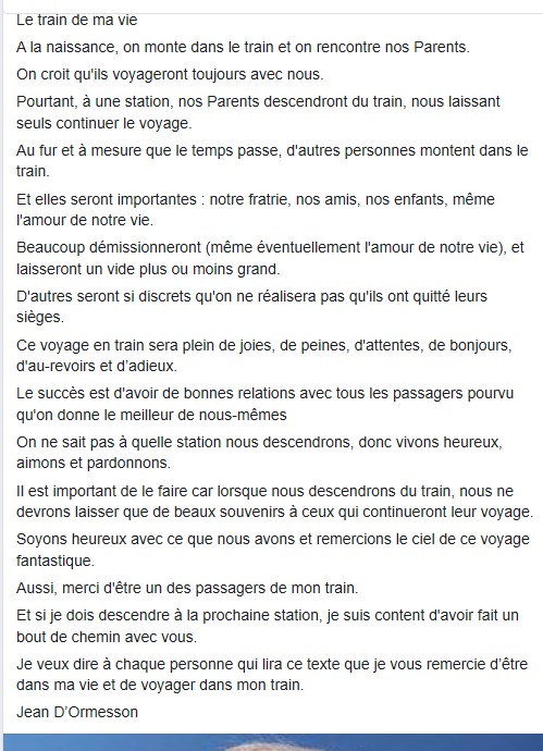 Le train de la vie