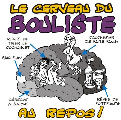 Cerveau ? cervelle ? Cerveau ? cervelle ?