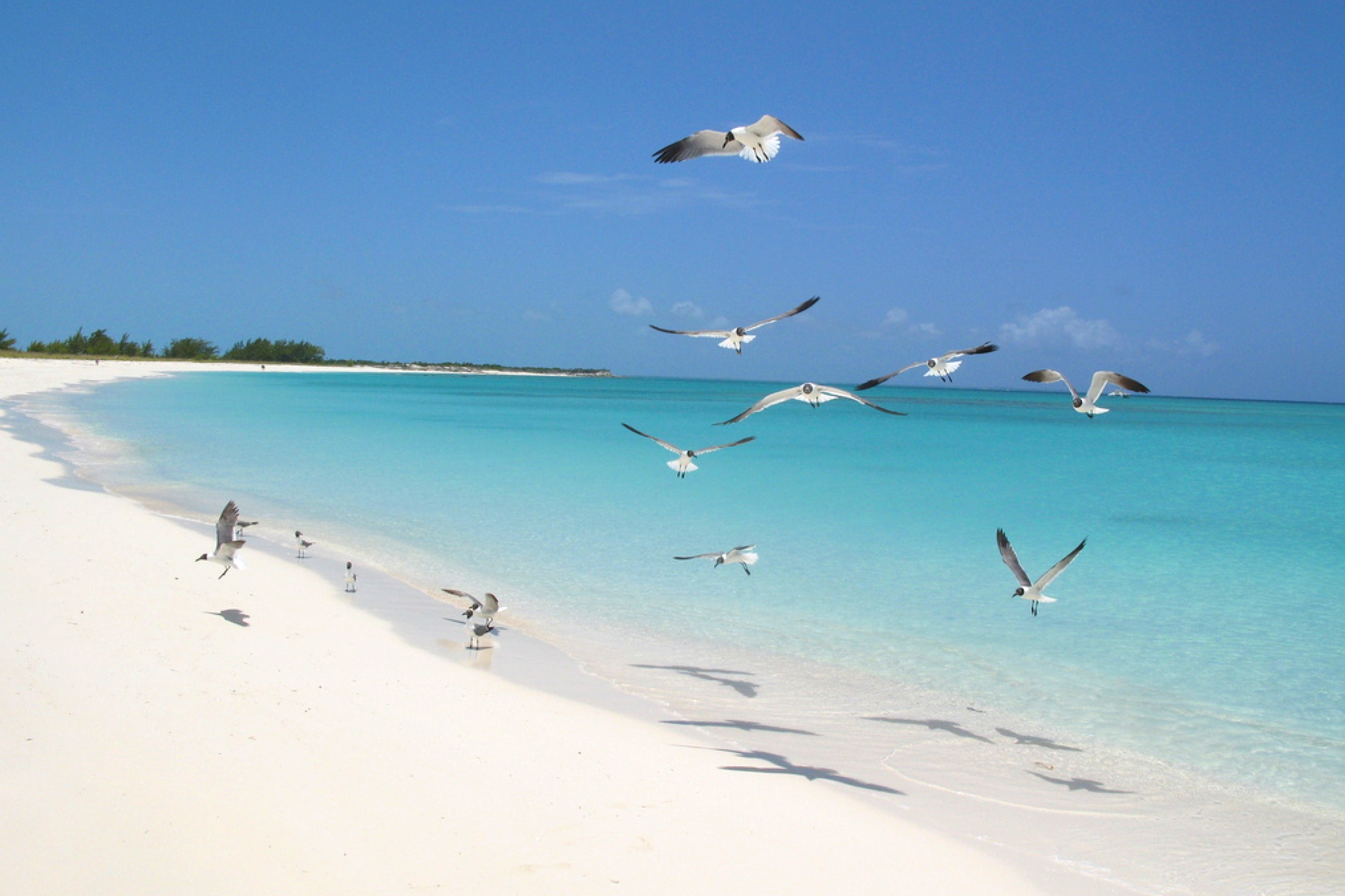 100 îles étonnantes qui donnent envie de voyager (4)
