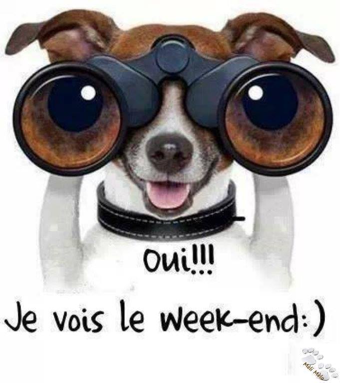 Vendredi