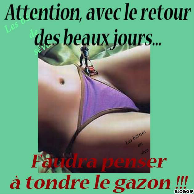 Le gazon