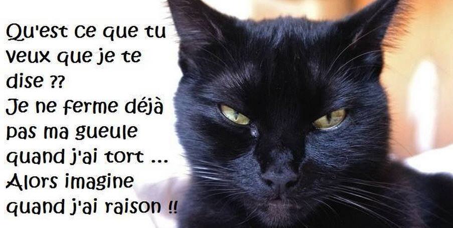 Qu'est-ce que tu veux que je te dise ?